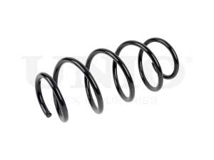 Front coil spring photo