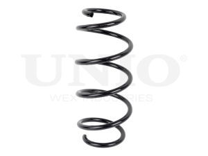Front coil spring photo