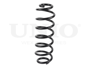 Rear coil spring photo