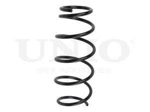 Front coil spring photo