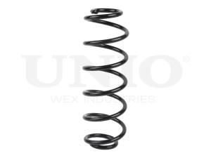 Rear coil spring photo