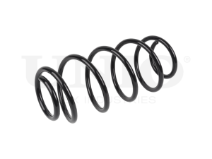 Front coil spring photo