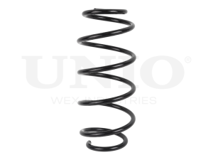 Front coil spring photo
