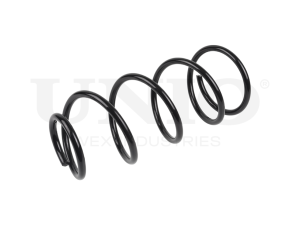 Front coil spring photo