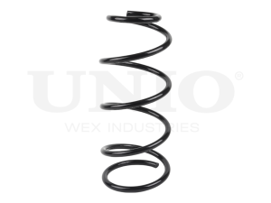 Front coil spring photo