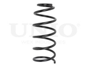 Front coil spring photo