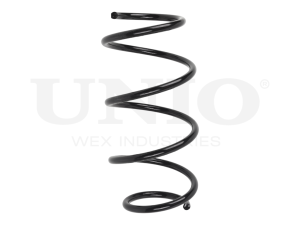 Front coil spring photo