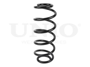 Front coil spring photo