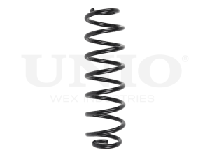 Rear coil spring photo