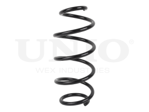 Front coil spring photo