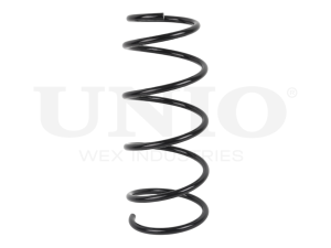 Front coil spring photo