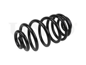 Rear coil spring photo