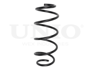 Front coil spring photo