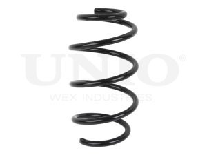 Front coil spring photo