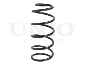 Front coil spring photo