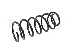 Rear coil spring photo