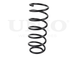 Rear coil spring photo