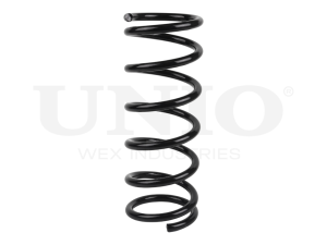 Rear coil spring photo