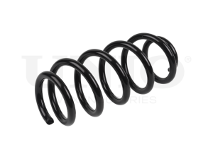 Rear coil spring photo