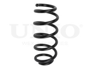 Rear coil spring photo