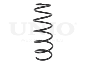 Rear coil spring photo