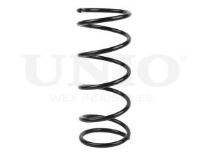 Front coil spring photo