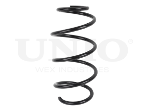 Front coil spring photo