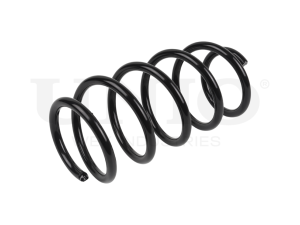 Front coil spring photo