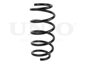 Front coil spring photo