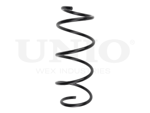 Front coil spring photo