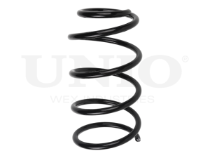 Front coil spring photo
