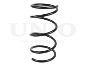 Front coil spring photo