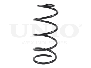 Front coil spring photo