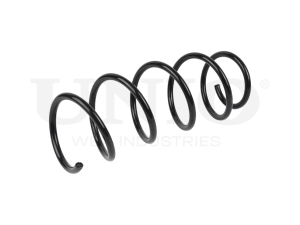Front coil spring photo