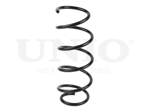Front coil spring photo
