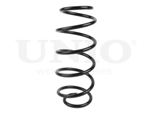 Front coil spring photo