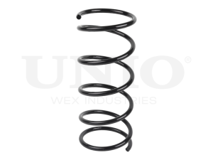 Front coil spring photo