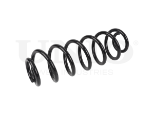 Rear coil spring photo