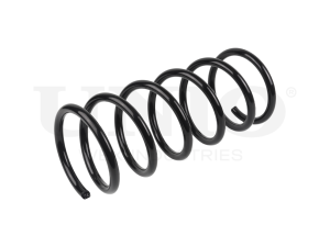 Front coil spring photo