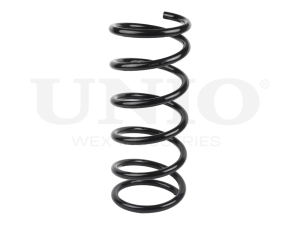 Front coil spring photo