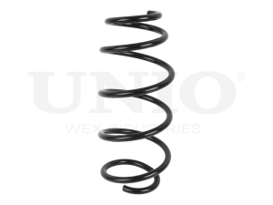Front coil spring photo
