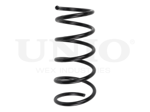 Front coil spring photo