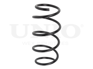 Front coil spring photo