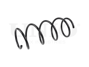 Front coil spring photo