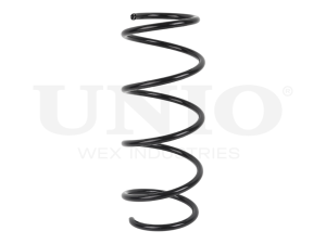 Front coil spring photo