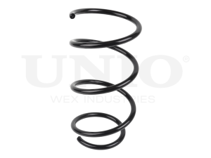 Front coil spring photo