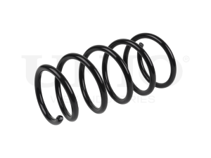 Front coil spring photo