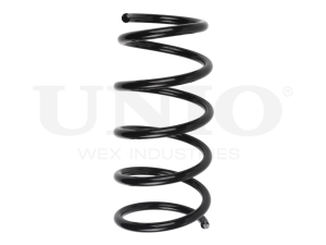 Front coil spring photo