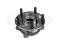 Rear hub (without ABS) thumb