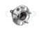Rear hub (with ABS) thumb